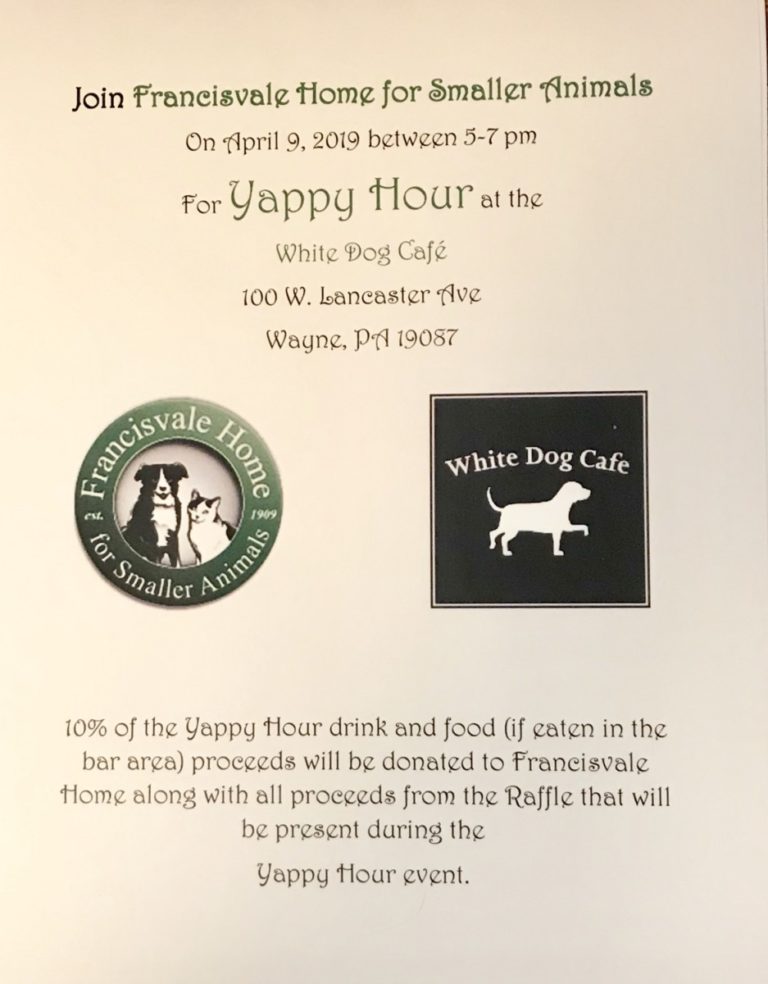 White Dog Cafe Yappy Hour invite