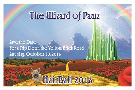 Hairball 2018 - The Wizard of Paws